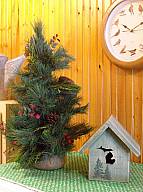 XmasTrees2012_04.jpg