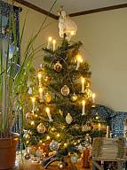 XmasTrees2012_09.jpg