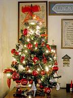 XmasTrees2012_42.jpg