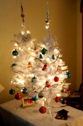 ChristmasTrees16_085.jpg