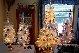 ChristmasTrees16_055.jpg