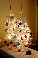 ChristmasTrees16_085.jpg