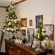 ChristmasTrees16_255.jpg