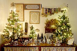 ChristmasTrees16_325.jpg