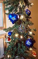 ChristmasTrees16_400.jpg