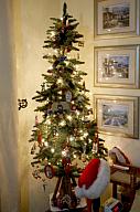 ChristmasTrees16_405.jpg