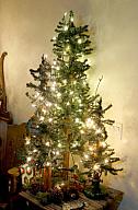 ChristmasTrees16_415.jpg