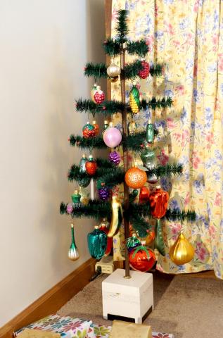 ChristmasTrees17_25.jpg