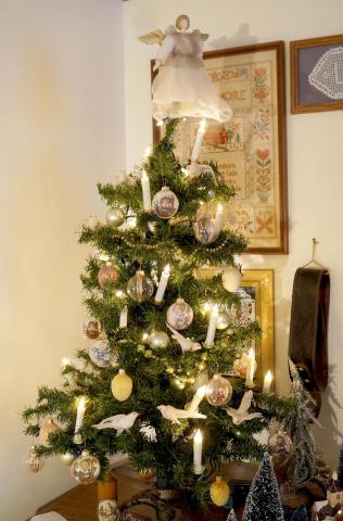 ChristmasTrees17_28.jpg