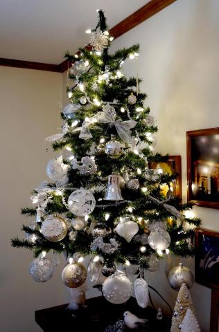 ChristmasTrees17_40.jpg