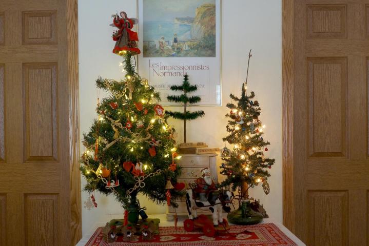 ChristmasTrees17_51.jpg