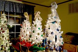 ChristmasTrees17_08.jpg