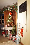 ChristmasTrees17_16.jpg