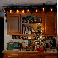 ChristmasTrees17_19.jpg