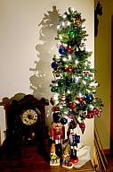 ChristmasTrees17_20.jpg