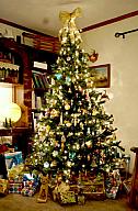 ChristmasTrees17_33.jpg