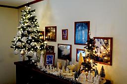 ChristmasTrees17_39.jpg