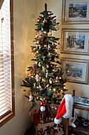 ChristmasTrees17_47.jpg