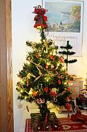 ChristmasTrees17_52.jpg