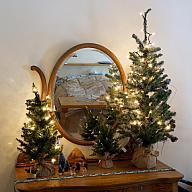 ChristmasTrees17_55.jpg