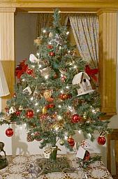 ChristmasTrees19_28.jpg