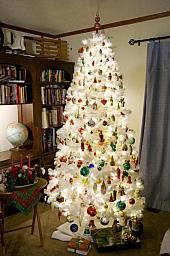 ChristmasTrees19_38.jpg