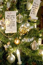 ChristmasTrees19_43.jpg