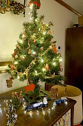 ChristmasTrees19_46.jpg